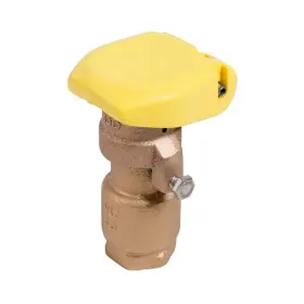 B11502 Rain Bird Qcv Quick Coupling Valve 3/4 In X 1/2 2-piece Body Rubber Cover