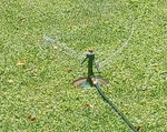 Vintage Sunbeam Rain King Model K-2 Lawn Sprinkler Tested Works!! See Pix!! Used. Price: $50.00.