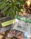 25 Pack - New Rain Bird 6VAN Nozzles With Filters Oem 6' To 360 Degree. Price: $36.97.