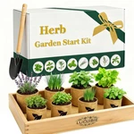 Starter Herb Garden Kit Diy Fresh Plants Unique Women Indoor Gifts Mothers New. Price: $59.99.