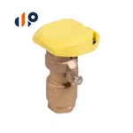 Hunter Quick Coupling Valve 3/4 In. Fipt Inlet Pc. Body 2-SLOTS New. Price: $169.99.