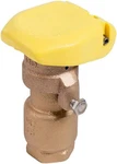 Rainbird 33DRC Quick-coupling Valve New. Price: $82.94.