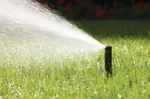 Rain Bird 1804 High Efficiency Adjustable In. Pop-up Spray Twin Pack Ship Free New. Price: $9.85.