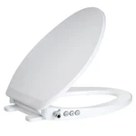 Bidet Toilet Seat Non-electric, Self-cleaning Dual Nozzles For Frontal & New. Price: $112.15.