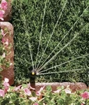 Rain Bird 13-18 Rotary Nozzle 90 Degree Spray Quarter Circle 18RNQ- 178534 New. Price: $23.49.