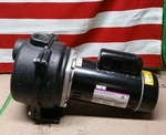 Wayne 58409-WYN1, 2 Hp Permanent Lawn Irrigation Sprinkler Pump Open Box,. Price: $332.49.