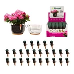 Blumat Classic Plant Stakes Automatic Drip WATERING/IRRIGATION-25 Pack New. Price: $74.95.