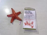 New Yardworks 690-2221 1/2" Pro Gear Drive Nozzle Tree 42775002 *free Shipping*. Price: $9.99.